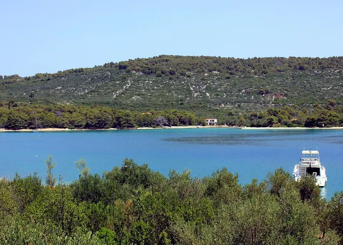 Mala Lamjana 8449a Kali